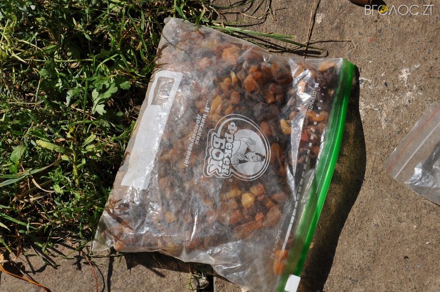 ????????????????????????????????????