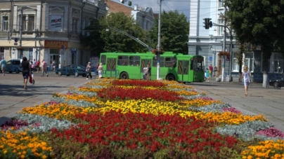 Літо у Житомирі: квітковий парад на клумбах міста (ФОТО)