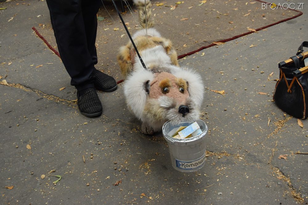 день незалежн-38