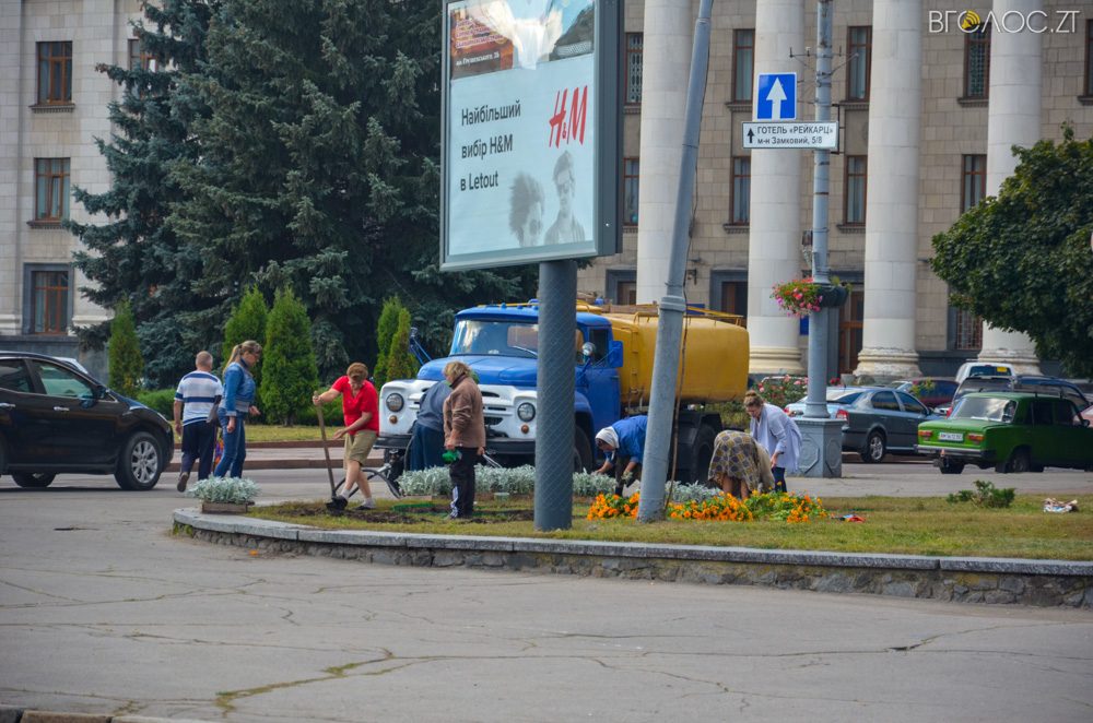 клумба (1 из 26)