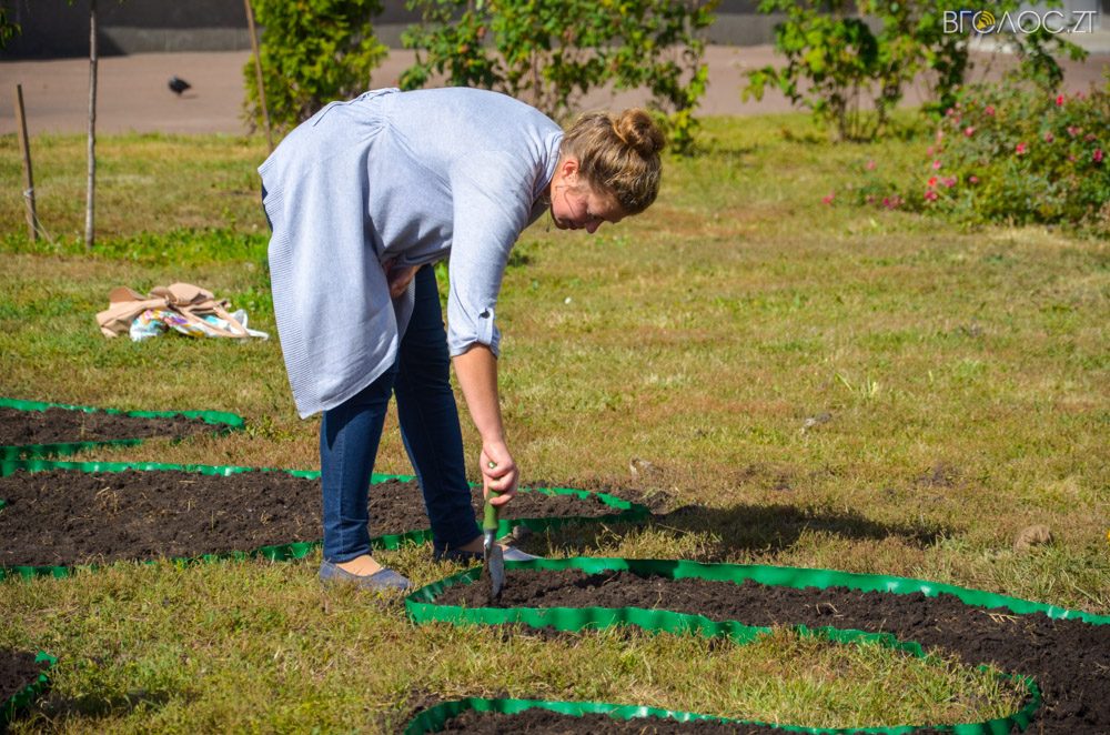 клумба (14 из 26)