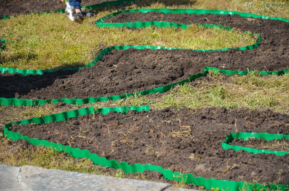 клумба (15 из 26)