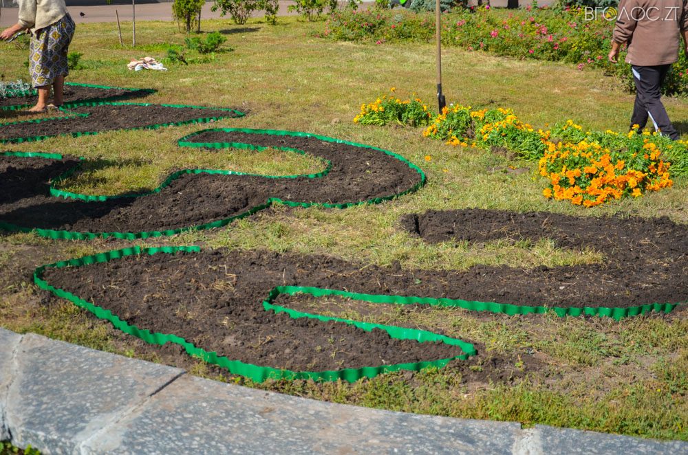 клумба (16 из 26)