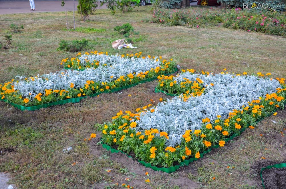 клумба (19 из 26)