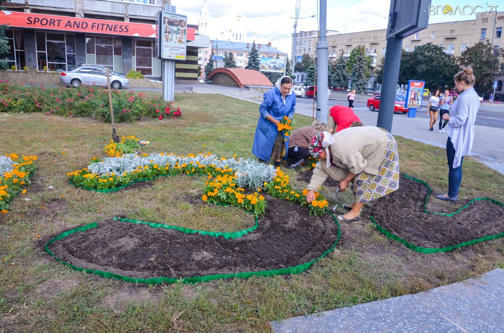 клумба (21 из 26)