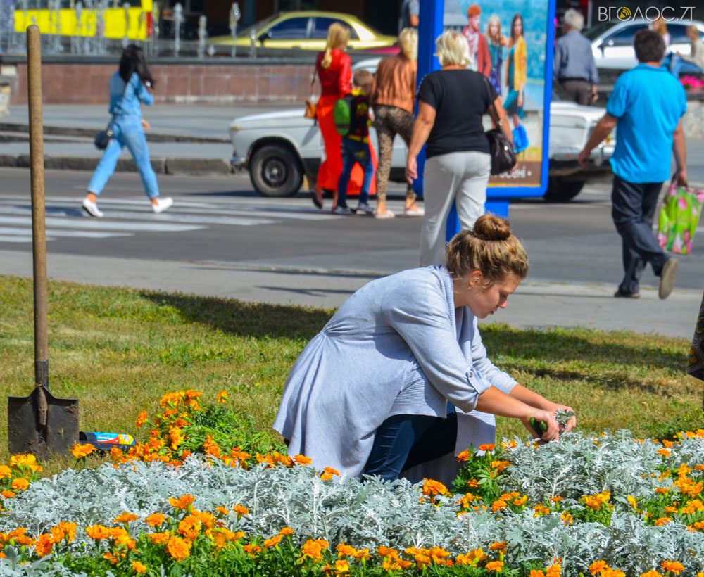 клумба (22 из 26)