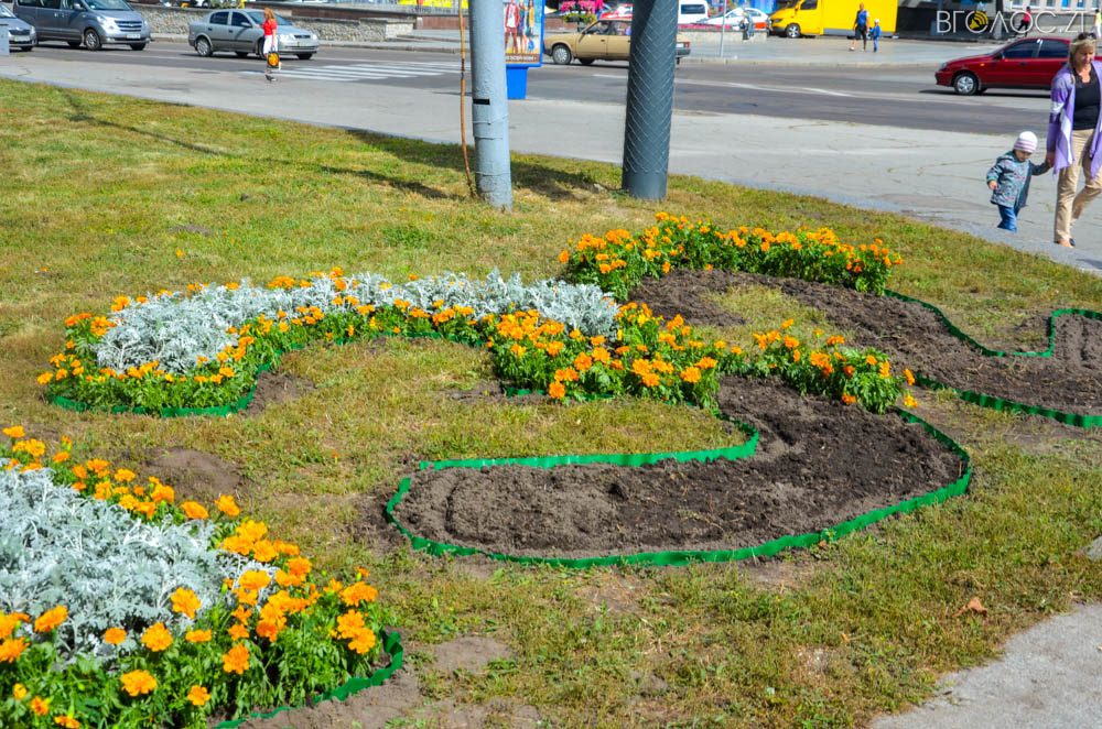 клумба (24 из 26)