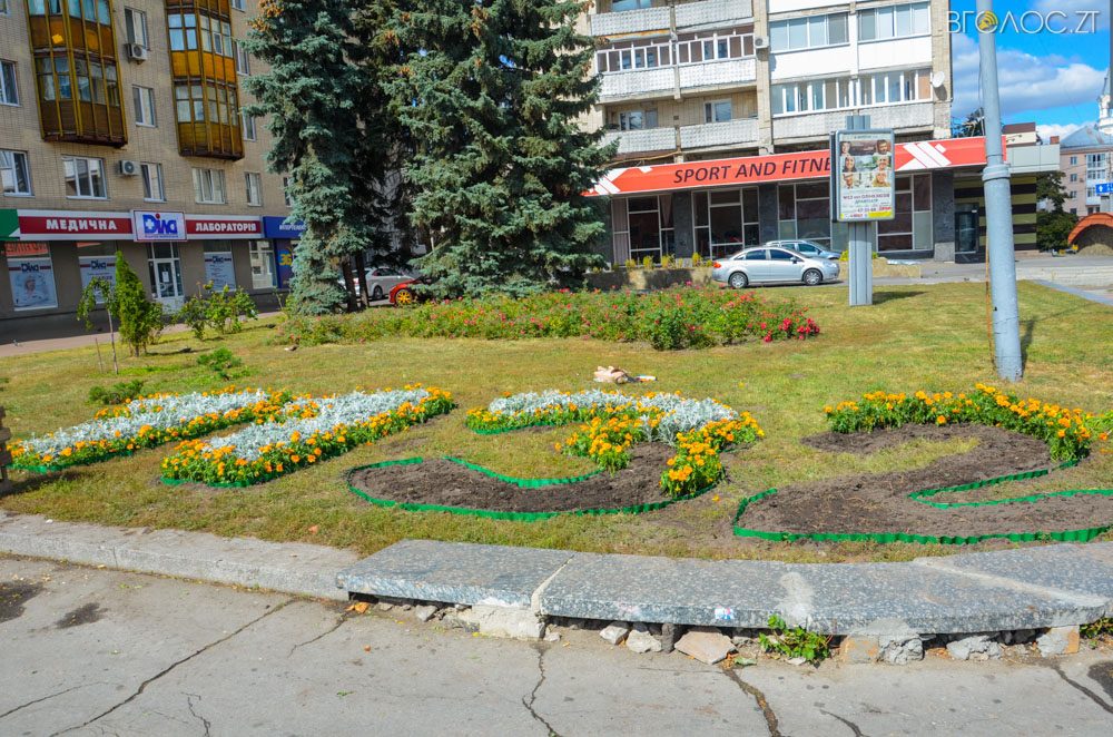 клумба (25 из 26)