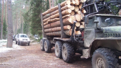 Озброєна банда лісокрадів знову напала на лісівників