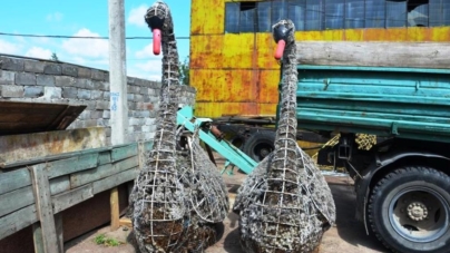 Конструкції лебедів, яких закупили у Києві, «відлетіли» у невідомому напрямку