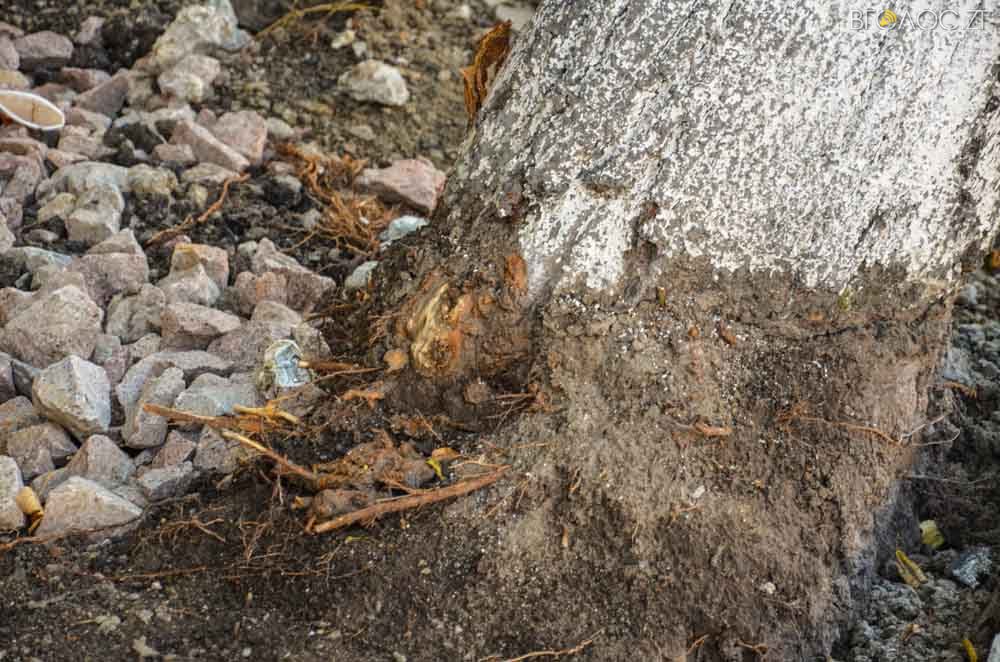 ремонт (13 из 26)