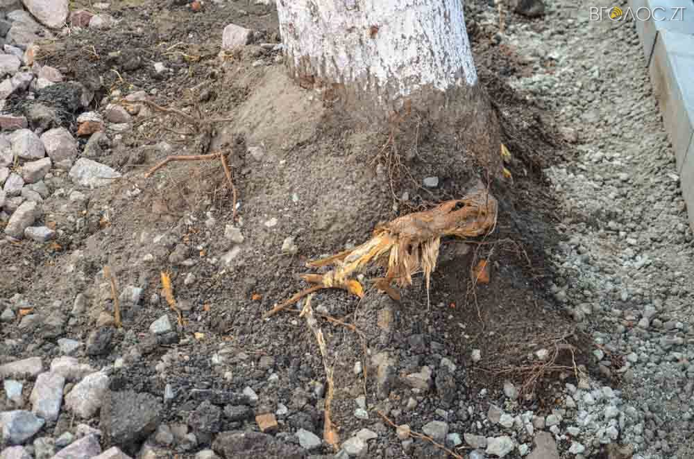 ремонт (17 из 26)