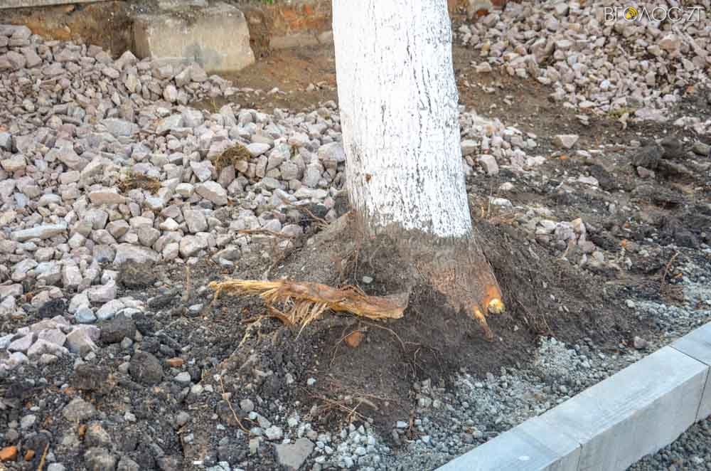 ремонт (19 из 26)