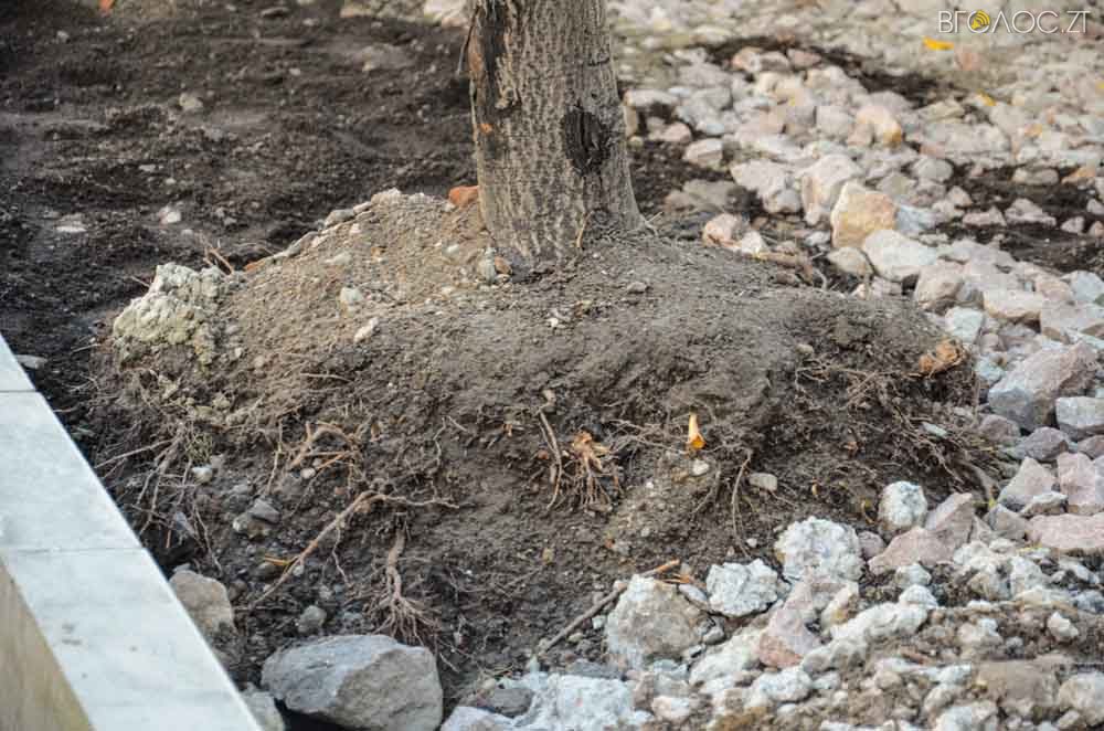 ремонт (24 из 26)