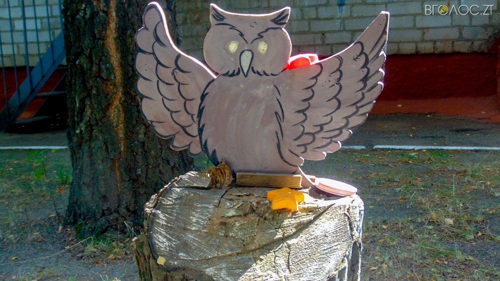 садок (31 из 45)