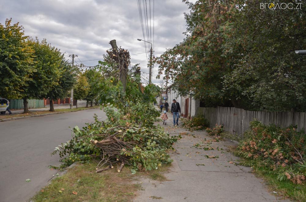 dereva-gogolivska-1-yz-17