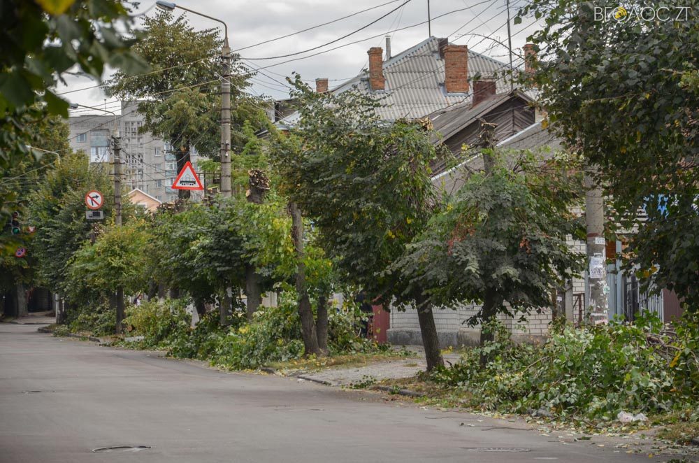 dereva-gogolivska-10-yz-17