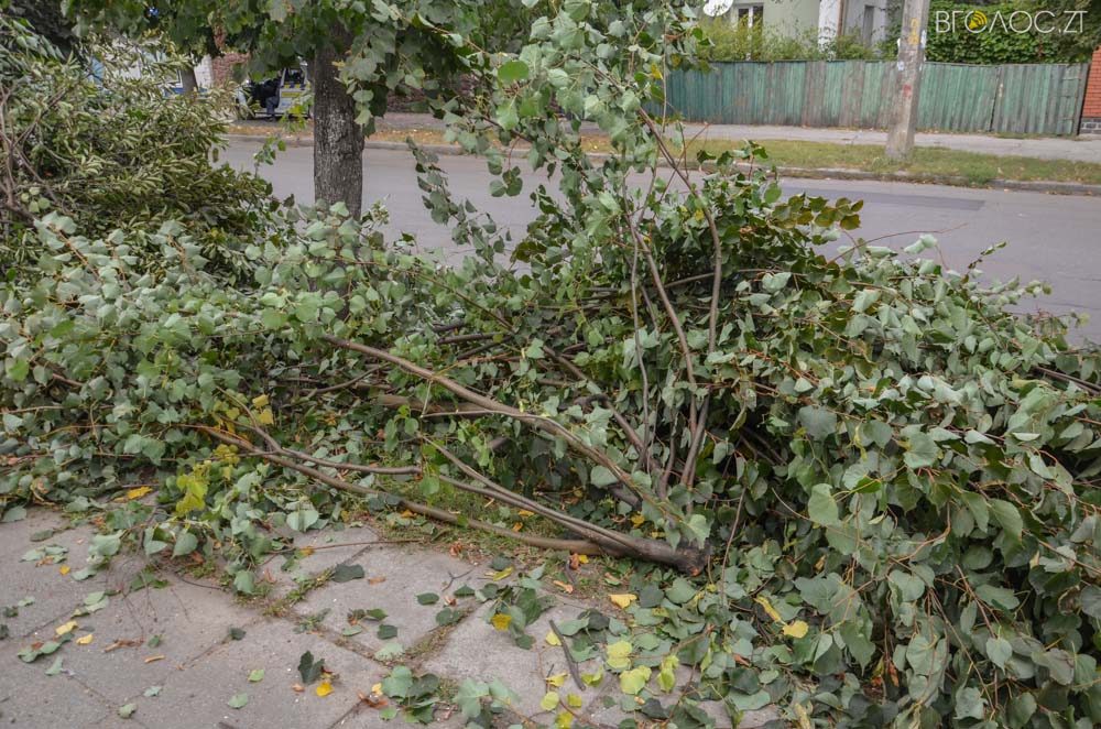 dereva-gogolivska-16-yz-17