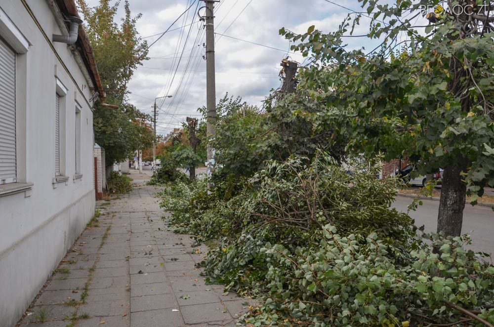 dereva-gogolivska-17-yz-17