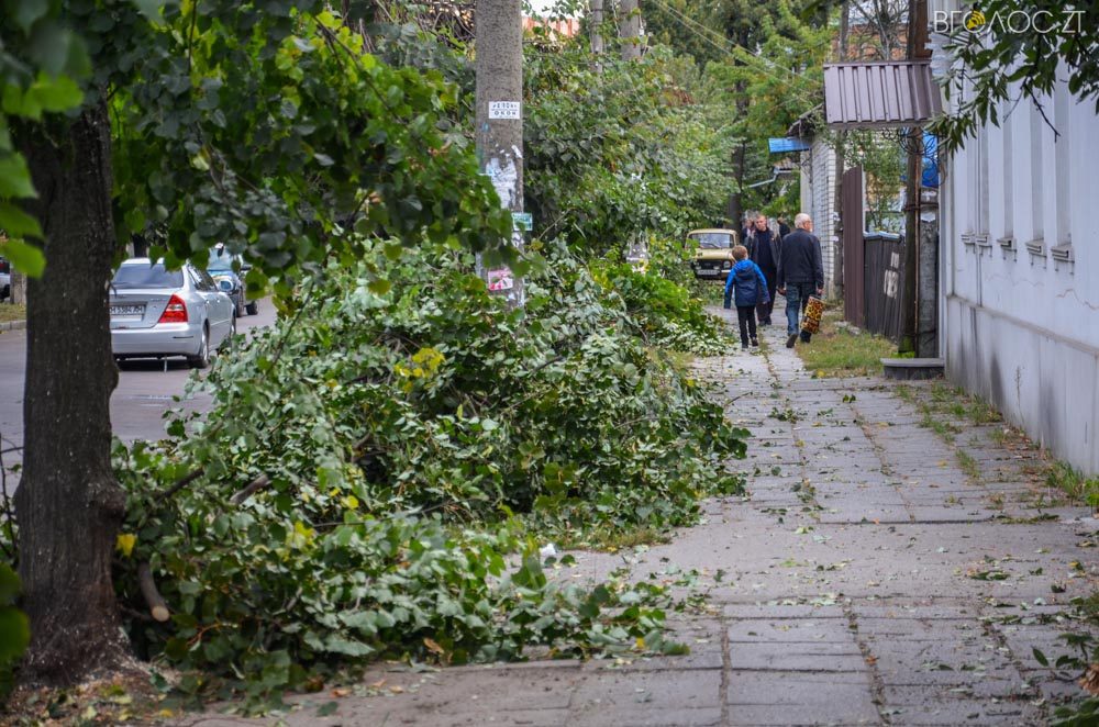 dereva-gogolivska-6-yz-17