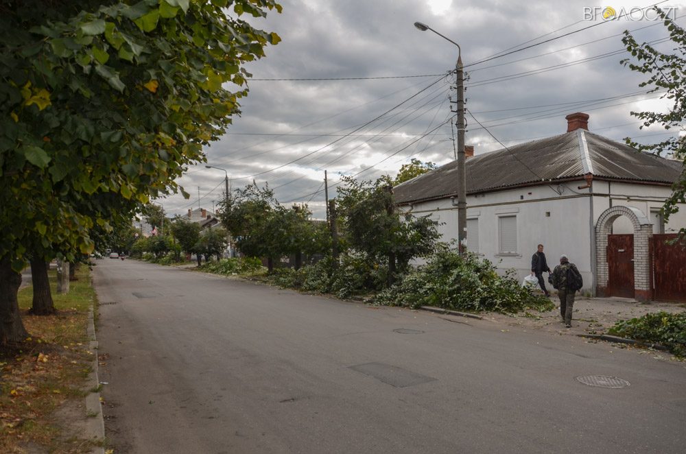 dereva-gogolivska-7-yz-17