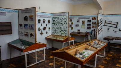 У музеї Малинського коледжу зберігається форма майстра лісу минулого століття (ФОТО)