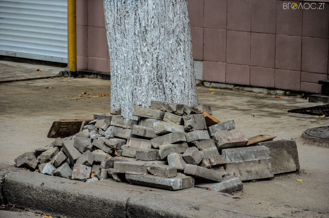 myhajlyvska-rekonstruktsiya-34