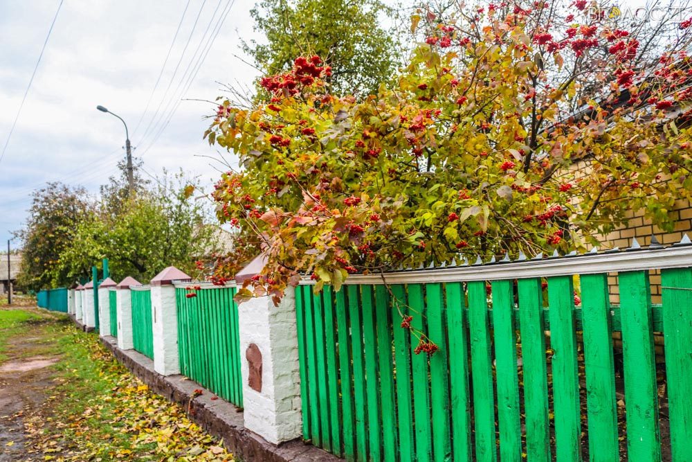 ovruch-ochyma-shulgy-50-yz-51