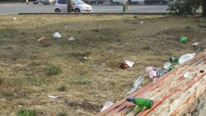 Депутати не виділили гроші на прибирання. Малин обріс смітниками (ФОТО)