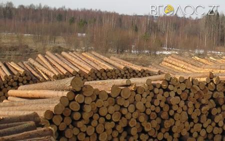 Лісгоспи області відправляють за кордон до 30 % деревини