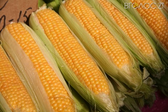 Керівник підприємства взяв більше 12 мільйонів за поставку кукурудзи, яку так і не привіз