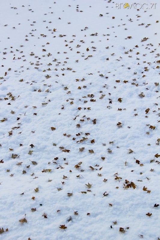 novgrad-pushkyna-zyma-109-yz-118