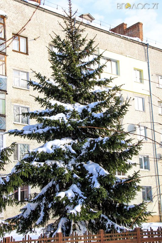 novgrad-pushkyna-zyma-57-yz-118