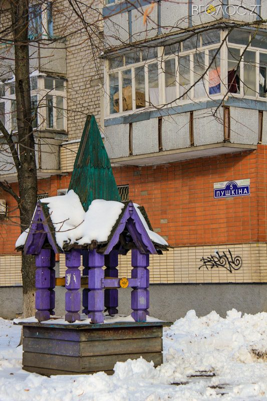 novgrad-pushkyna-zyma-74-yz-118