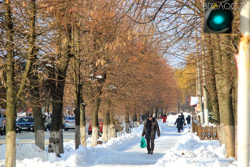 novgrad-pushkyna-zyma-82-yz-118