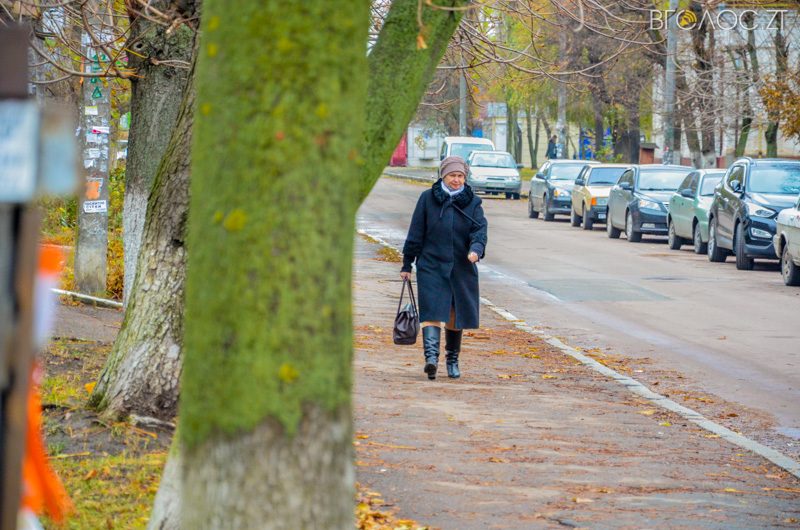 vul-stepana-bendery-21-yz-55