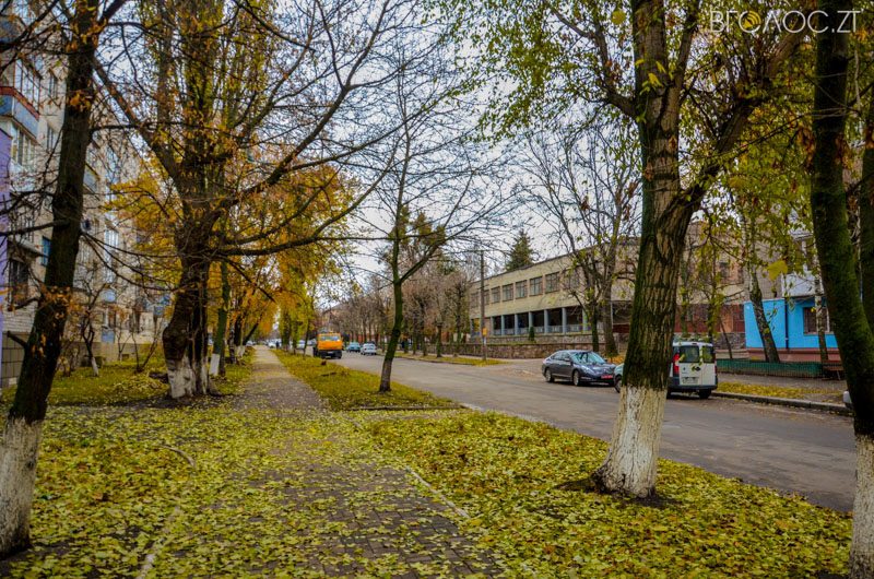 vul-stepana-bendery-53-yz-55