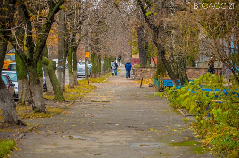 vul-stepana-bendery-55-yz-55