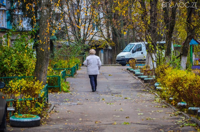 vulytsya-dombrovskogo-13-yz-85