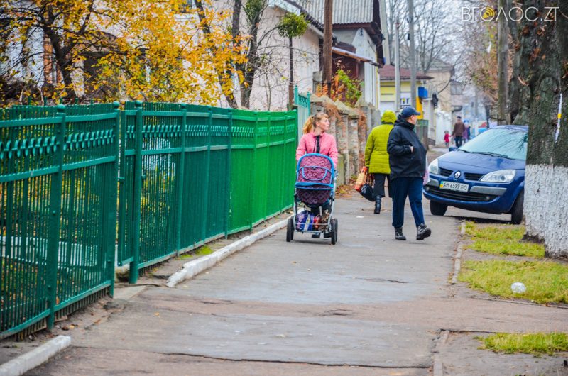 vulytsya-dombrovskogo-34-yz-85