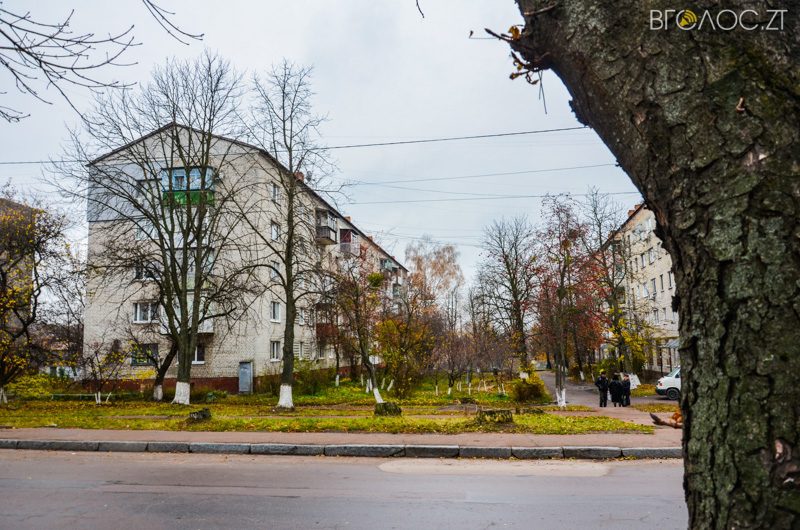 vulytsya-dombrovskogo-39-yz-85