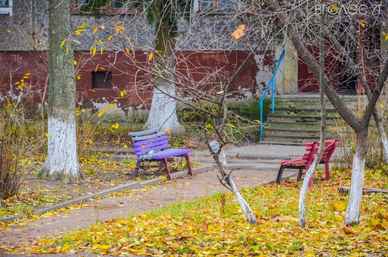 vulytsya-dombrovskogo-43-yz-85