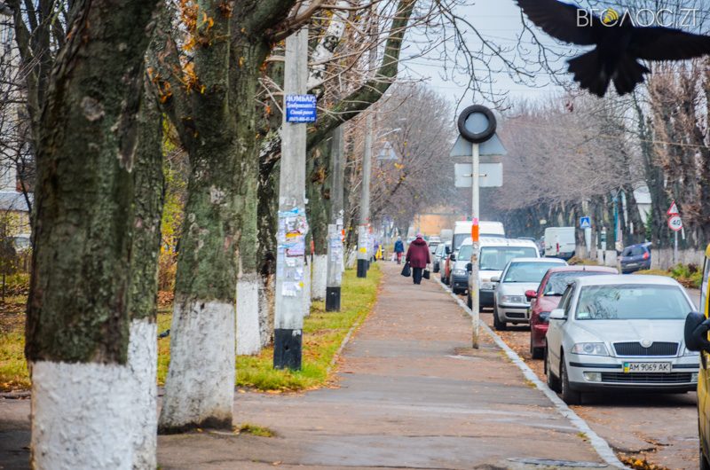 vulytsya-dombrovskogo-53-yz-85