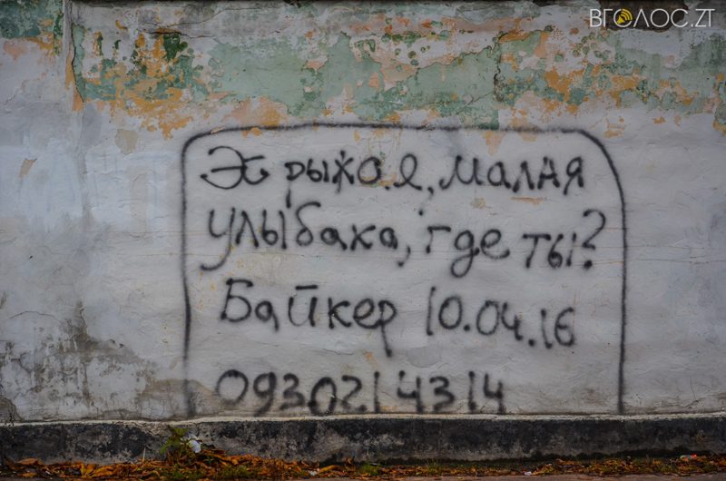 vulytsya-dombrovskogo-57-yz-85