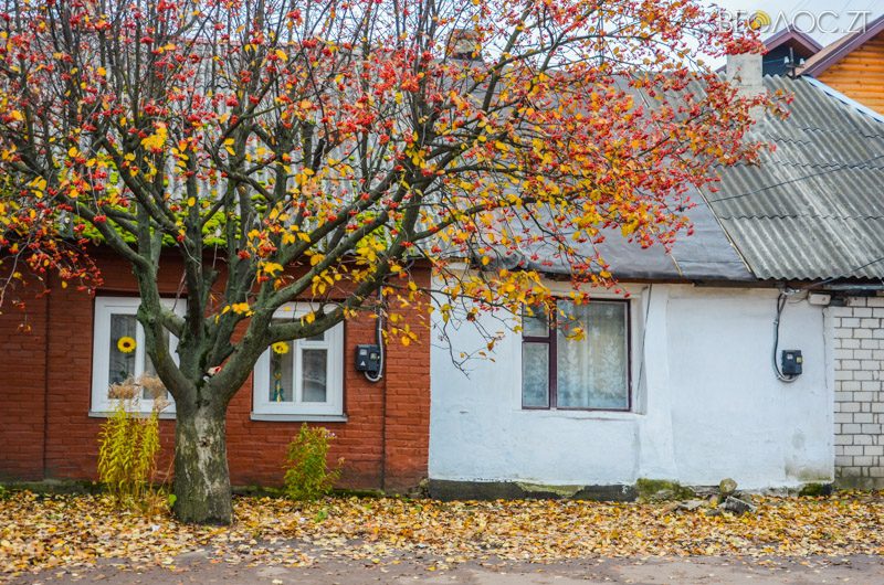 vulytsya-dombrovskogo-72-yz-85