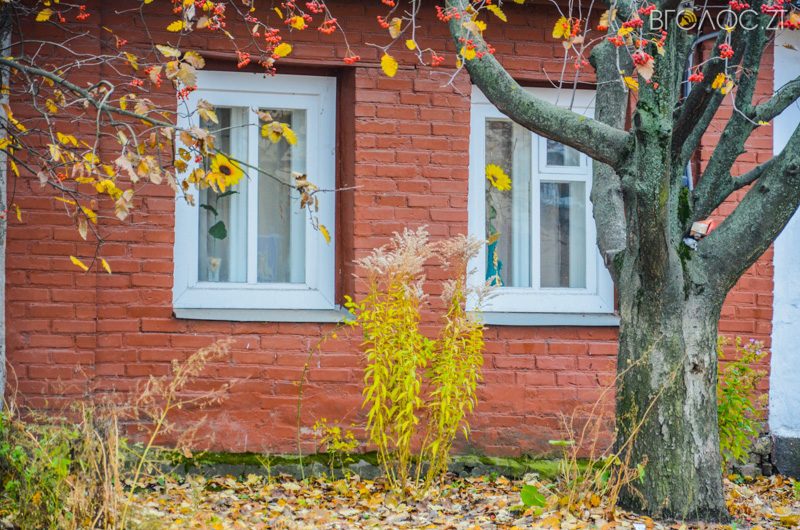 vulytsya-dombrovskogo-74-yz-85