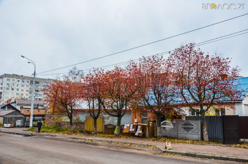 vulytsya-dombrovskogo-78-yz-85