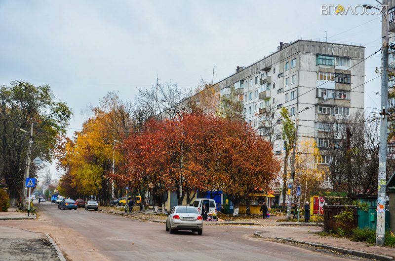 vulytsya-dombrovskogo-80-yz-85