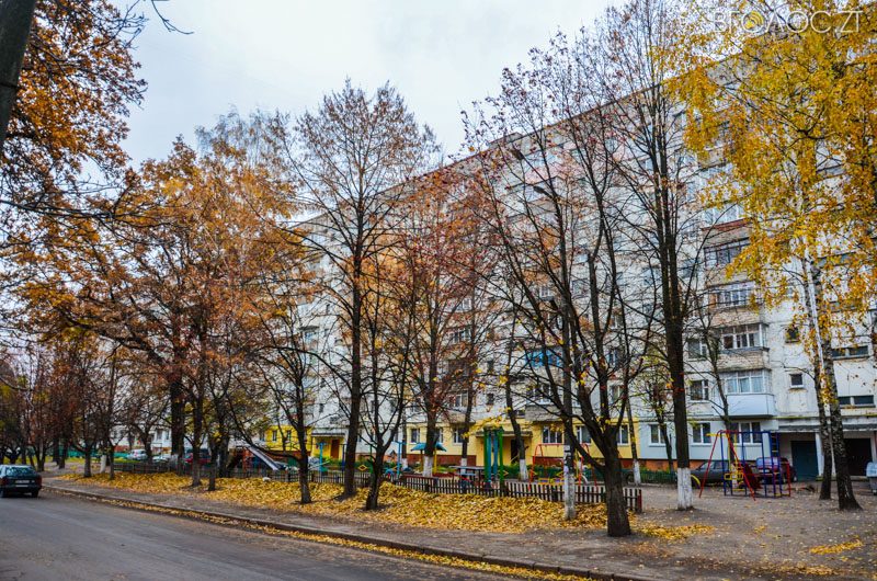 vulytsya-dombrovskogo-85-yz-85