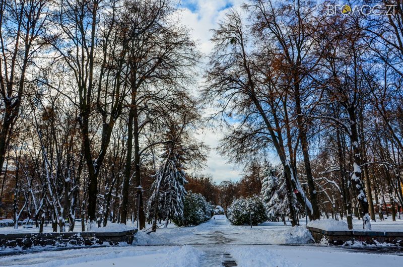 zyma-zhytomyr-161-yz-208